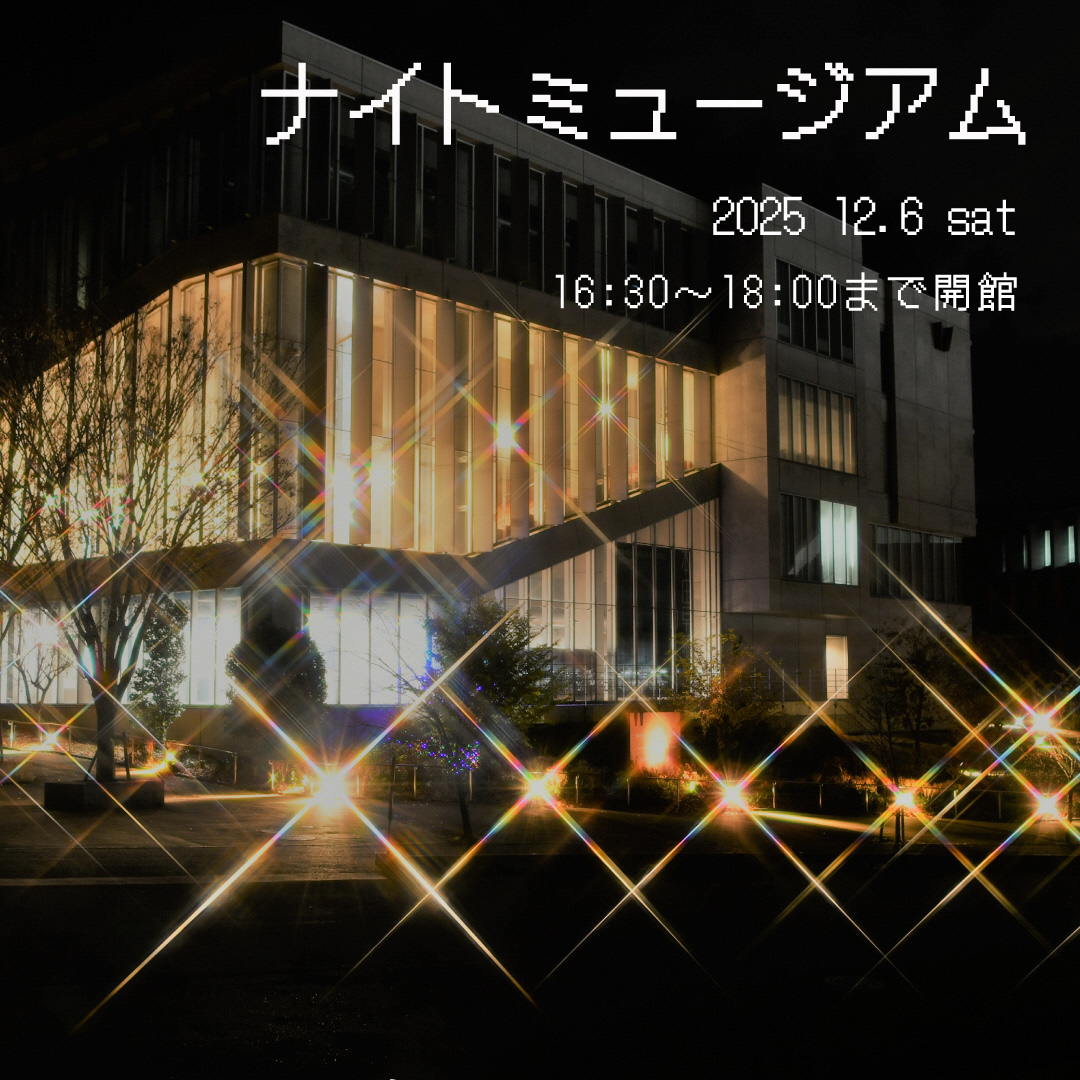 ナイトミュージアムイメージ画像