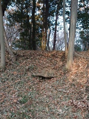 東谷古墳石室